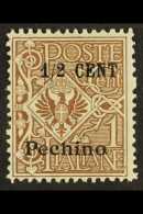 CHINA PEKING 1918-19 ½c On 1c  Brown, Overpinted In Turin, Sassone 19, SG 19, Better Centring Than Usual... - Other & Unclassified