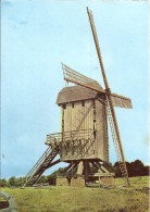 SOMME - 80 - NAOURS - CPSM GF Couleur -Moulin De La Colline - Naours