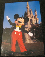 United States Walt Disney World Cinderella Castle Mickey Mouse - Used - Orlando