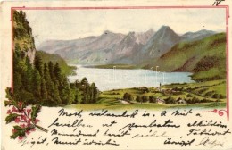 T2/T3 Boica, Hunyadboica; Látkép / General View, Decorated Postcard, Litho (EK) - Non Classés