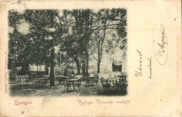 T3 1899 Budapest XII. Zugliget; DisznófÅ‘ VendéglÅ‘, Kiadja Károlyi György... - Non Classés
