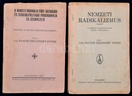 Bajcsy-Zsilinszky Endre Két MÅ±ve: Nemzeti Radikálizmus (1936); A Nemzetközi Radikális... - Non Classés