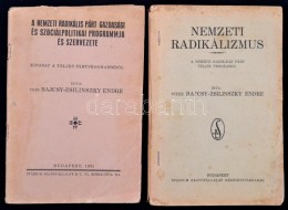 Bajcsy-Zsilinszky Endre Két MÅ±ve: Nemzeti Radikálizmus (1936); A Nemzetközi Radikális... - Ohne Zuordnung