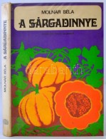 Molnár Béla: A Sárgadinnye. Budapest, 1973, Akadémiai Kiadó. Kiadói... - Ohne Zuordnung