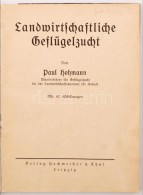 2 Szárnyasokkal Kapcsolatos Könyv / 2 Books About Poultry: Landwirtschaftliche Geflügelzucht +... - Sin Clasificación