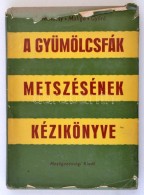 Dr. Mohácsy Mátyás, Dr. Maliga Pál, Dr. Gyúró Ferenc: A... - Zonder Classificatie