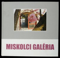 Miskolci Galéria. Szerk.: Dobrik István. Miskolc, 2011, Miskolci Galéria. Kartonált... - Ohne Zuordnung