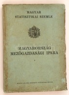 1939 Magyarország MezÅ‘gazdasági Ipara, Magyar Statisztikai Szemle, Pp.:176, 26x19cm - Non Classés