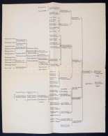 Cca 1900 3 Db Nemesi Leszármazási Táblázat, Köztük Zichy Is - Unclassified