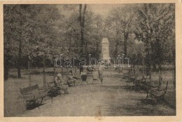 T2/T3 Bohumín, Neu-Oderberg; Stadtpark / Park, Monument (EK) - Zonder Classificatie