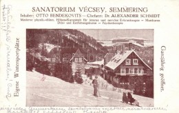 T2 Semmering, Sanatorium Vécsey, Inhaber: Otto Benedekovits - Non Classés