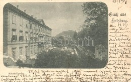 T2 1898 Salzburg, Mirabellgarten; Würthle & Sohn / Park - Sin Clasificación