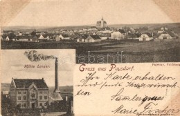 T3 1899 Poysdorf, Mühle Langer / Mill, General View (fa) - Non Classés