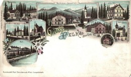 * T4 1899 Felka, Velká; FürdÅ‘, étterem, Annaliese Villa, Turistaszálló,... - Non Classés