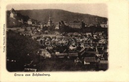 ** T2 Segesvár, Sighisoara; Látkép, Kiadja Vandory / General View - Non Classés