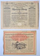 Budapest 1904. 'Erzsébet Királyné Sanatorium Sorsjegykölcsön' 5K-ról,... - Sin Clasificación