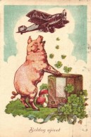 * T2/T3 'Boldog új évet!' / New Year's Greeting Card, Pig With Airplane, Clovers, Radio (EK) - Ohne Zuordnung