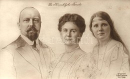 * T2 De Koniglijke Familie / Wilhelmina Of The Netherlands With Family - Ohne Zuordnung