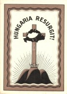 ** T2/T3 'Hungaria Resurgit!' Kiadja A Magyar Nemzeti Szövetség / Irredenta Art Postcard (EK) - Ohne Zuordnung