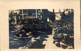 ** T1/T2 Alvó Osztrák-magyar Tengerészek / Sleeping Austro-Hungarian Mariners, Photo - Non Classés