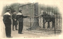 T2/T3 De La Coupe Aux Levres / French Navy Sailor In The Zoo, Elephant (EK) - Non Classés