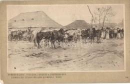 ** T2 Magyar Lóvásár / Pferdemarkt (Ungarn) / Hungarian Horse Market, Folklore. Sammlung Eugen... - Zonder Classificatie