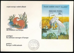 1980 Védett Vízimadarak Vágott Blokk FDC-n (6.000) - Autres & Non Classés