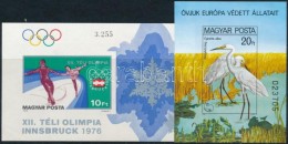** 1975-1980 Téli Olimpia, Innsbruck és Madarak Vágott Blokk (9.000) - Andere & Zonder Classificatie