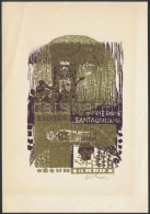 Diskay Lenke (1924-1980): In Memoriam Dott. Nerone Santagiuliana Ex Libris. Színes Fametszet, Papír,... - Otros & Sin Clasificación