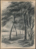 Deli Antal (1886-1960): ErdÅ‘széle. Szén, Papír, Jelzett, 25×16 Cm - Autres & Non Classés