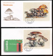 1998 Gomba Sor Mi 834-843 + Kisívsor Mi 844-855 + Blokksor Mi 43-44 5 Db FDC-n - Altri & Non Classificati