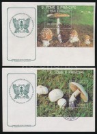 1992 Gomba Sor Mi 1346-1350 + Blokksor Mi 283-284 3 Db FDC-n - Andere & Zonder Classificatie