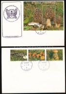 1987 Gombák Sor Mi 1013-1015 + Blokk Mi 173 2 Db FDC-n - Otros & Sin Clasificación