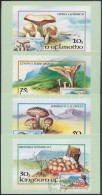 ** 1983 Gomba Sor Mi 411-414 + 4 Db FDC-n - Altri & Non Classificati