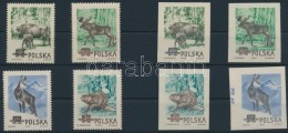 ** 1954 Védett állatok Lengyelországban Sor Mi 885-888 A+B - Other & Unclassified