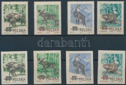 ** 1954 Védett állatok Lengyelországban Sor Mi 885-888 A+B - Altri & Non Classificati