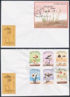 1996 Gomba Sor Mi 849-854 + Blokk Mi 22 2 Db FDC-n - Andere & Zonder Classificatie