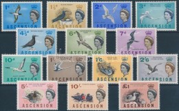 ** 1963 Madarak Sor Mi 75-88 - Other & Unclassified