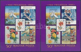 ** 1989 Pro Philatelia Blokk 3 és 4 Mm Számmal  (3.700) - Otros & Sin Clasificación