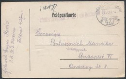 1917 Tábori Posta LevelezÅ‘lap / Field Postcard 'Infanterieregiment...' + 'TP 427 A' - Andere & Zonder Classificatie