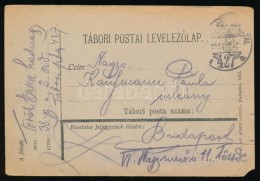1917 Tábori Posta LevelezÅ‘lap / Field Postcard 'TP 427 A' - Andere & Zonder Classificatie