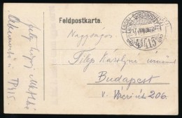1917 Tábori Posta LevelezÅ‘lap / Field Postcard 'M.kir. 7. Honvéd Tábori ágyus Ezred' +... - Other & Unclassified