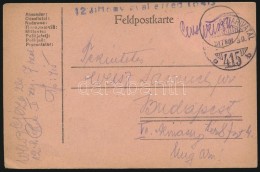 1917 Tábori Posta LevelezÅ‘lap / Field Postcard '12.Honv. Gyal. Ezred' + 'TP 415 B' - Andere & Zonder Classificatie