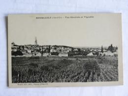 CPA 21 Côte D'Or - MEURSAULT - Vue Générale Et Vignoble - Meursault