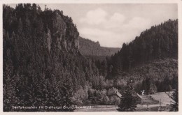 1017 -Der Falkenstein Im Dietharzer Grund, Thür. Wald -1938 - Tambach-Dietharz
