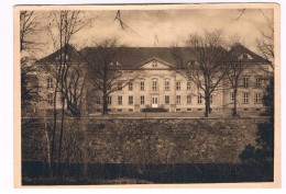 D6665     OSTRAU : Schloss Ostrau - Bitterfeld