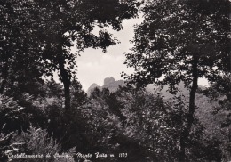 NAPOLI - Castellammare Di Stabia - Monte Faito - 1952 - Castellammare Di Stabia