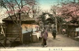 JAPON – Carte Postale De Tokyo Et De Ses Environs – Très Bon état – A Voir - Lot N° 20106 - Tokyo