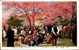 JAPON – Carte Postale De Tokyo Et De Ses Environs – Très Bon état – A Voir - Lot N° 20116 - Tokyo