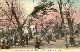 JAPON – Carte Postale De Tokyo Et De Ses Environs – Très Bon état – A Voir - Lot N° 20118 - Tokyo